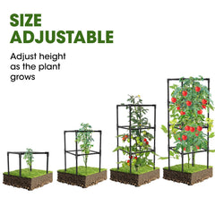 Side view of MQHUAYU tomato cages in a garden setting