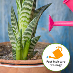 Side view of PERFECT PLANTS Snake Plant Soil 4qt bag