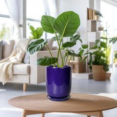 Side view of SUNPOTFOR Ceramic Plant Pot with drainage hole