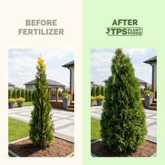 Side view of TPS NUTRIENTS Evergreen Tree Fertilizer with label details