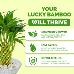 Side view of TPS NUTRIENTS Lucky Bamboo Fertilizer 8 oz bottle