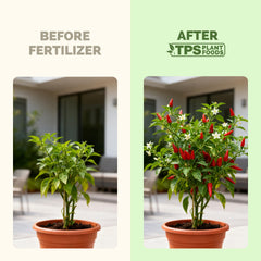 Side view of TPS NUTRIENTS Pepper Fertilizer 32 oz