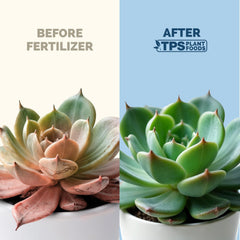 Side view of TPS NUTRIENTS Succulent Fertilizer bottle with label