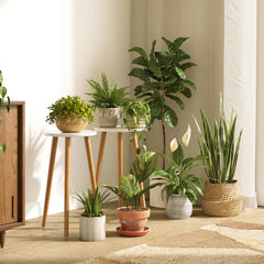 Side view of Uneedem Plant Stand showing its sturdy legs