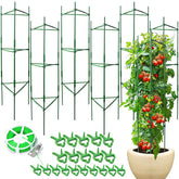 Sidefusi tomato cage 48-inch height with green coating
