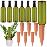 SiliFine terracotta watering spike with dark green bottle