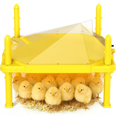 Sindarhor Chick Brooder Heating Plate front view, yellow color