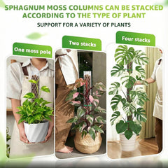 Sisher 16 Inch Plastic Moss Pole stacked example