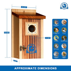 SISTERBIRD 2 Pack of wooden bluebird houses outdoors