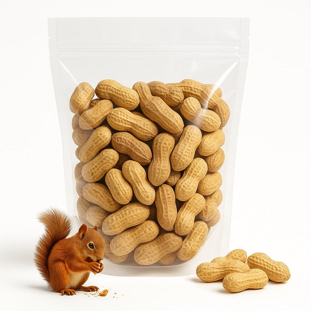 Sky Premium Raw Peanuts in Shell packaging front view