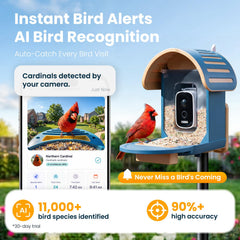 Smart Bird Feeder with Camera solar panel detail