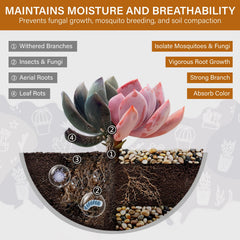 Smooth NUPICK pebbles for indoor plants, close-up