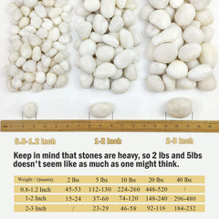 Smooth white pebbles in a decorative arrangement