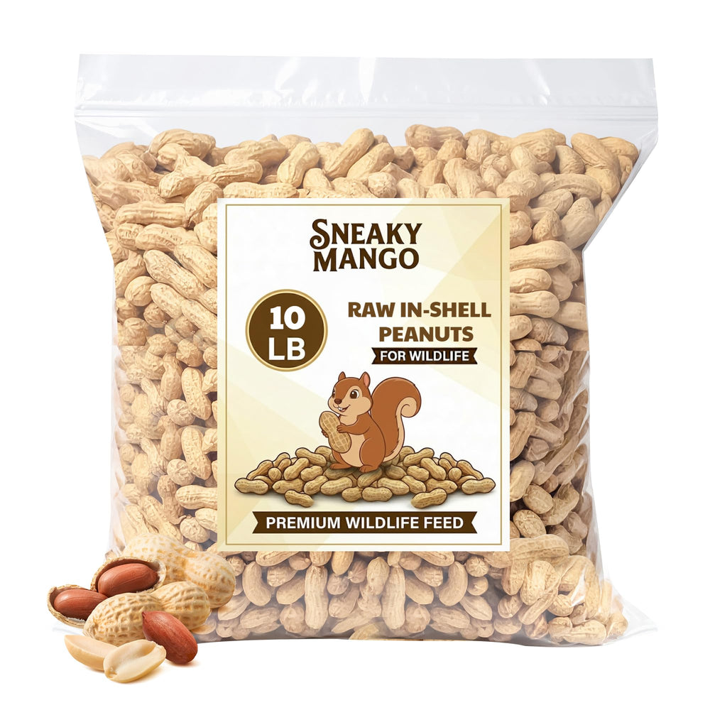 Sneaky Mango Raw Peanuts in Shell 10 lbs front view