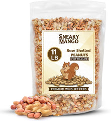 Sneaky Mango Raw Shelled Peanuts 11 lb bag front view