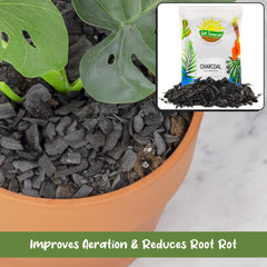 Soil Sunrise Horticultural Charcoal bag side view