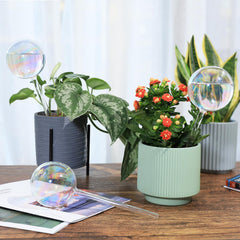 Soilagua 13 oz self-watering globe in a plant pot