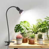 Sonamindary 10W Grow Light front view with flexible arm