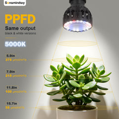 Sonamindary Grow Light featuring automatic timer settings