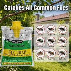 SonicPulse fly trap setup instructions with bait activation