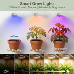 Sooogd grow light in use with indoor plants