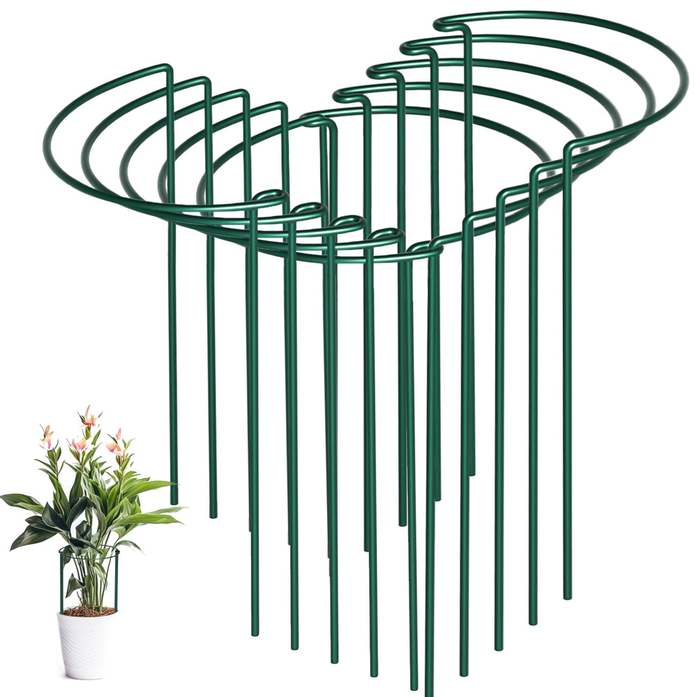 SORANGEUN Peony Cages and Supports green metal stakes front view