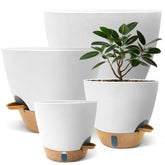 SORANGEUN Self Watering Pot 12 inch front view