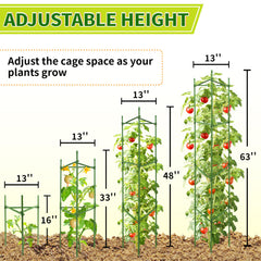 SORANGEUN tomato cage with climbing tomatoes