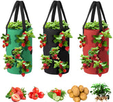 SouilGoal Upside Down Tomato Planter in red, green, and black