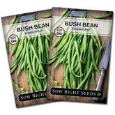 Sow Right Seeds Contender Bush Bean Seeds packet front view