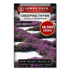 Sow Right Seeds Creeping Thyme seed packet front view