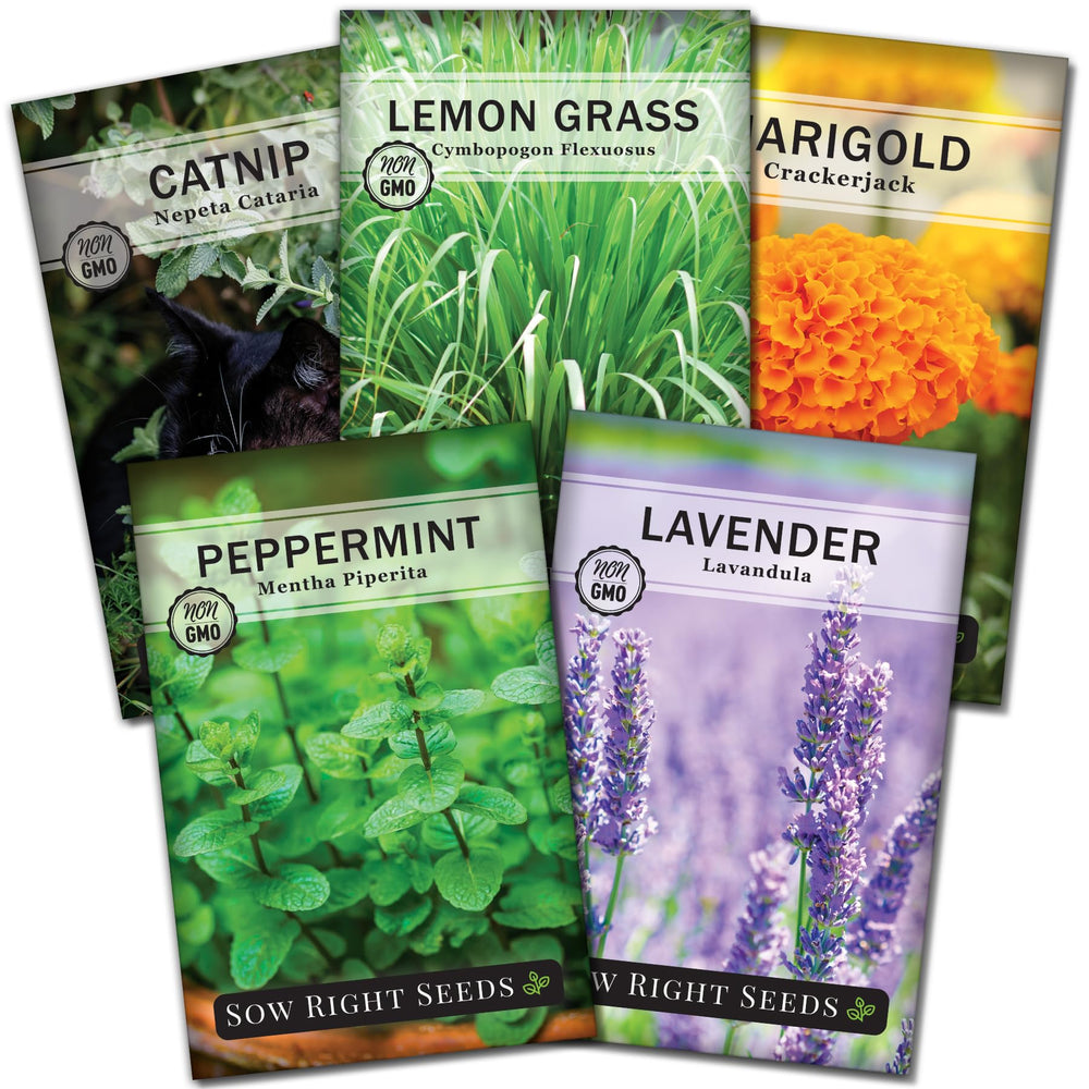 Sow Right Seeds Insect & Pest Repellent Seed Collection front view