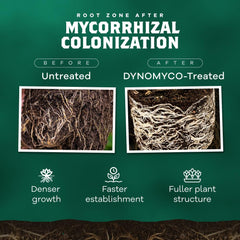 Spark wettable powder from DYNOMYCO grow kit