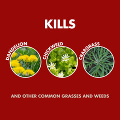 Spectracide Weed & Grass Killer with AccuShot Sprayer