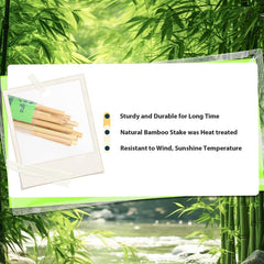 Sprigra Bamboo Stakes 3FT pack of 30 with packaging