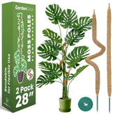 Sproot 28-inch moss pole plant support front view