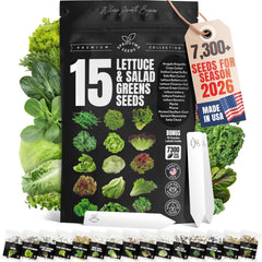SPROUTME SEEDS Lettuce & Salad Greens Seeds Variety Pack front view