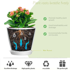 SQKH 4 Inch Plant Pot with succulent in a bright room