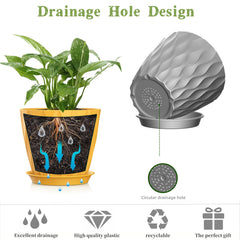 SQKH 5-inch planter pots with tray on a windowsill