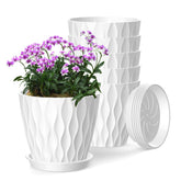 SQKH 6 Inch Indoor Plant Pots set of six in white with trays