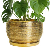 SQOWL 10 Inch Ceramic Planter in golden colour front view