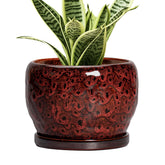 SQOWL 6 inch ceramic plant pot in red with saucer