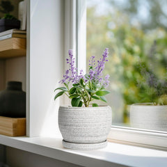 SQOWL 6 Inch Ceramic Planter gray with saucer on a table