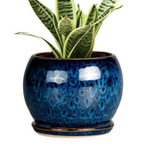 SQOWL 6 Inch Plant Pot front view in blue ceramic