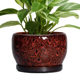 SQOWL 8 inch ceramic planter in red with drainage hole and saucer