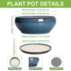 SQOWL Bonsai Pot 10 Inch with saucer and mesh pad