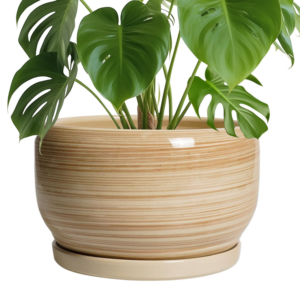 SQOWL Ceramic Plant Pot glossy yellow front view
