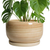 SQOWL Ceramic Plant Pot glossy yellow front view