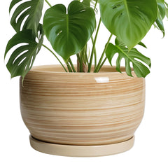 SQOWL Ceramic Plant Pot glossy yellow front view