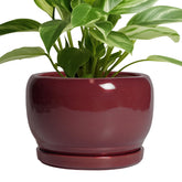SQOWL Ceramic Planter 8 inch glossy red finish front view